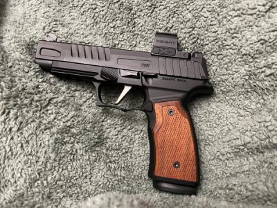 Sig P365 fuse