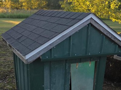 Doghouse 