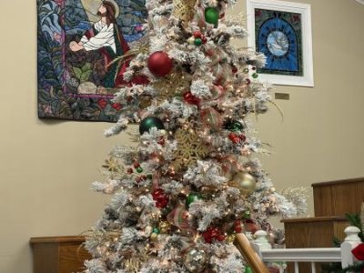 12 foot flocked Christmas tree!
