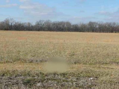 Lot 51, 328 Golden Meadow Ln Ledbetter, KY   42058