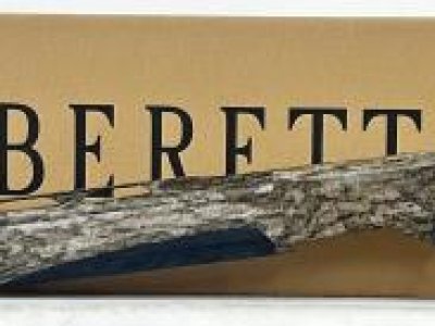 Beretta A400 Xtreme in 12 GA.