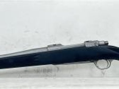 Ruger M77 Hawkeye in 308.