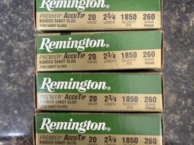Remington AccuTip 20 Ga Slugs