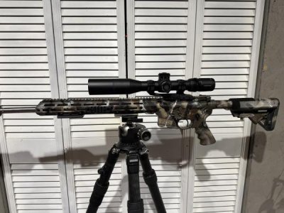 22 ARC AR