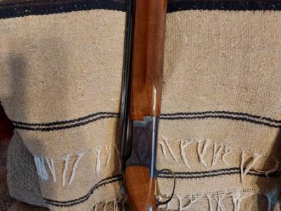 BROWNING CITORI 12 GAUGE, CZ DRAKE 20 GAUGE