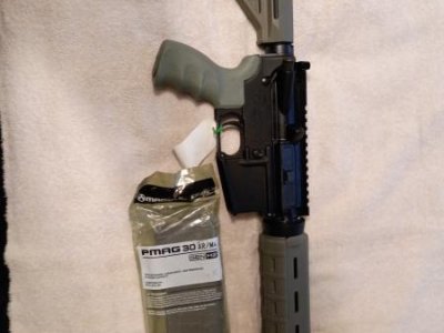 Palmetto 5.56