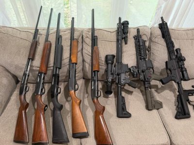 Guns for sale 