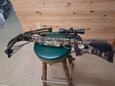 Wildcat C5 crossbow