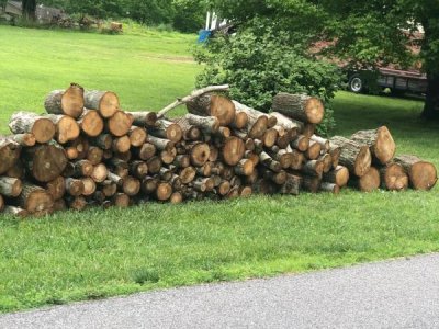 Firewood for sale