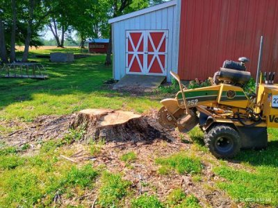 Stump Grinding